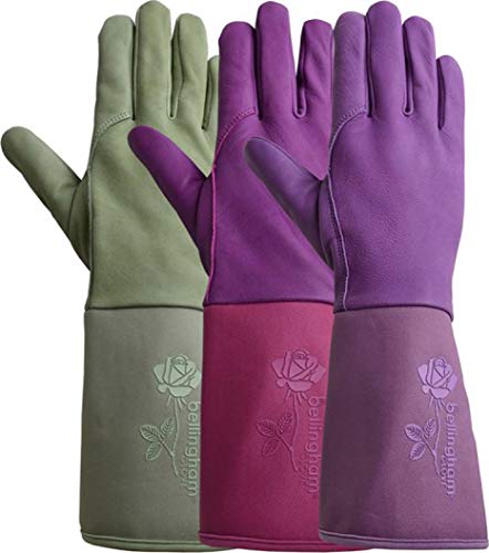 Carex Health Brands Soft Hands Cotton Gloves, XL