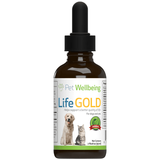 Life Gold - Trusted Care for Dog Cancer - Pet WellBeing