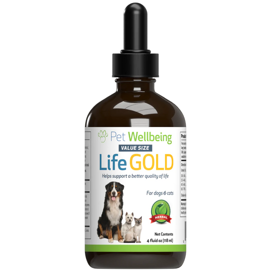 Life Gold - Trusted Care for Dog Cancer - Pet WellBeing