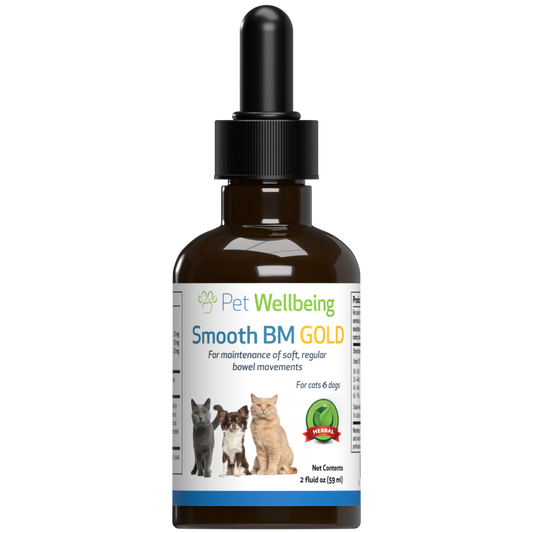 Smooth BM Gold - for Cat Constipation - Pet WellBeing