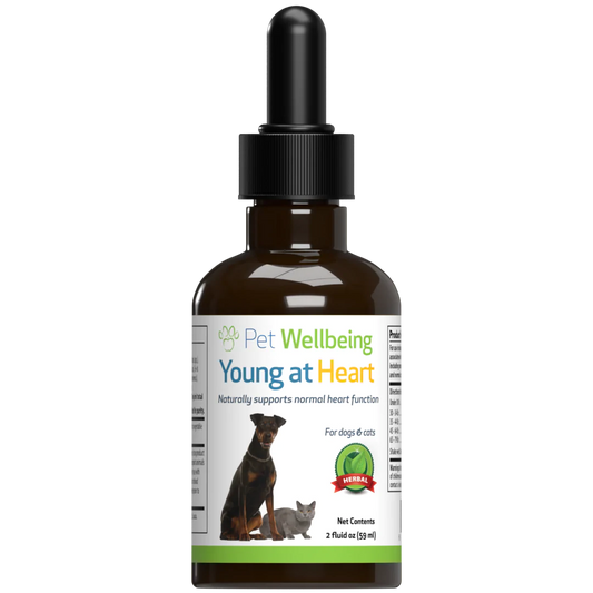 Young at Heart - for Healthy Heart Maintenance in Dogs - Pet WellBeing