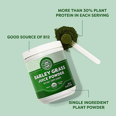 Vimergy Barley Grass Juice Powder, 62 Servings – Source of antioxidant - Contains Iron, Vitamin C, & Vitamin E – Non-GMO, Gluten-Free, Soy-Free, Vegan & Paleo – Daily Greens Booster (250g)