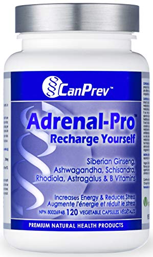 CanPrev Adrenal-Pro Recharge Yourself | 120 v-caps I Enhances Physical And Mental Performance I With Vitamin B6 & Ashwagandha Extract