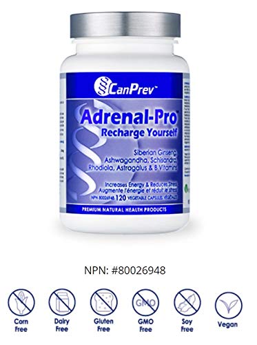 CanPrev Adrenal-Pro Recharge Yourself | 120 v-caps I Enhances Physical And Mental Performance I With Vitamin B6 & Ashwagandha Extract