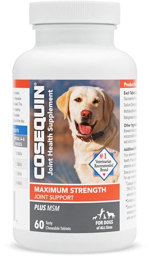 Nutramax Cosequin DS Chewables Plus MSM 60ct