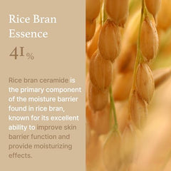 [I'm From] Rice Cream 1.69 Ounce, 41% rice bran essence with ceramide | Glowing Look, Improves Moisture Skin Barrier, Nourishes Deeply, Soothing to even out skin tone, K beauty