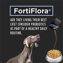 Purina Pro Plan Veterinary Supplements Fortiflora Powdered Dog Probiotics - 30 g sachets (Pack of 30)