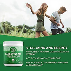 Vimergy Barley Grass Juice Powder, 62 Servings – Source of antioxidant - Contains Iron, Vitamin C, & Vitamin E – Non-GMO, Gluten-Free, Soy-Free, Vegan & Paleo – Daily Greens Booster (250g)