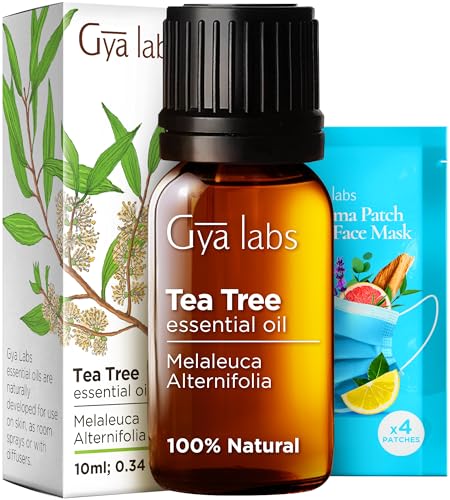 Gya Labs Australian Tea Tree Oil for Skin, Hair, Face & Toenails - 100% Natural Melaleuca Oil Tea Tree Essential Oil for Piercings, Scalp, Hair & Candle Making - 100% Pure Oils (0.34 fl oz)