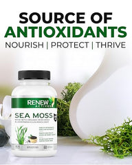 Renew Actives Sea Moss Capsules - Premium Triple-Action Antioxidant Blend with BioPerine for Ultimate Absorption - Organic Irish Sea Moss, Bladderwrack & Burdock Root - 60 Capsules