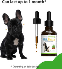 Milk Thistle - for Healthy Liver Function in Dogs - Pet WellBeing