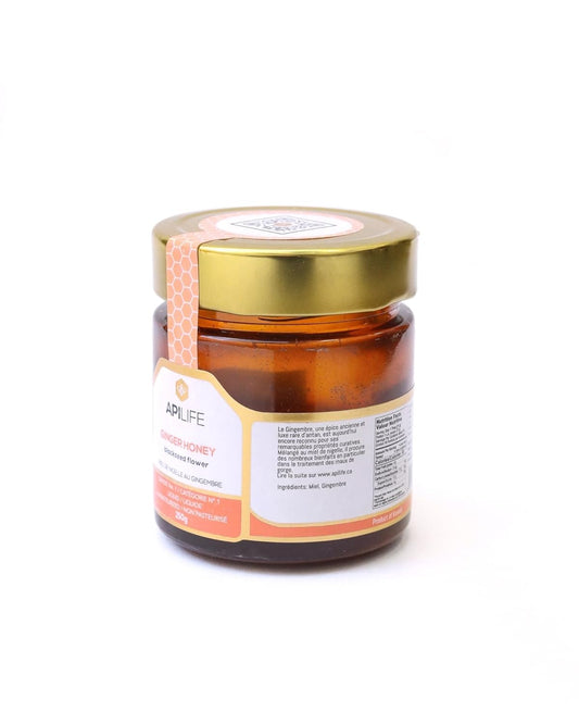 APILIFE - Ginger + Blackseed Honey 6x250g