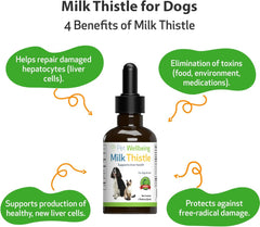 Milk Thistle - for Healthy Liver Function in Dogs - Pet WellBeing