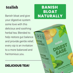 Tealish Functional Tea - Organic Tea 12ct (3 min order qty)