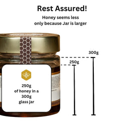 APILIFE - Lemon + Blackseed Honey 6 x 250g