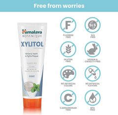 Himalaya Toothpaste - Mint with Xylitol 113g