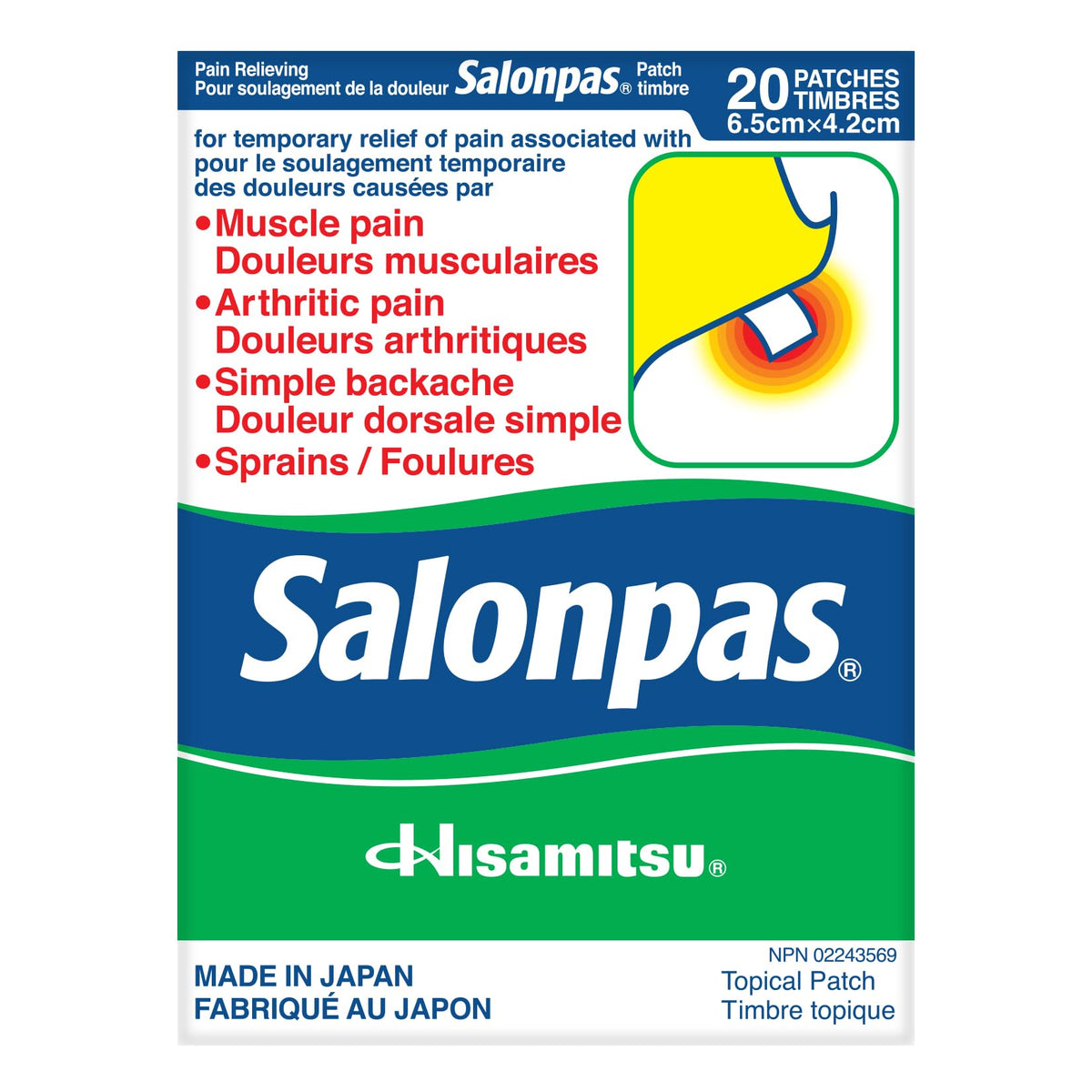 Salonpas Pain Relieving Patch – 20 Patches