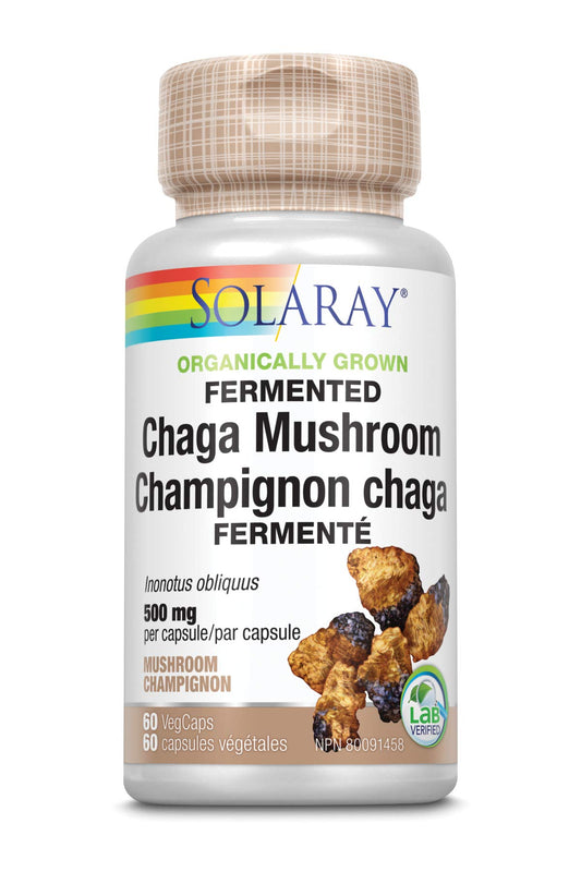 Solaray Organically Grown Fermented Chaga Mushroom 500 mg | Healthy Immune Function Support | 30 Servings | 60 VegCaps