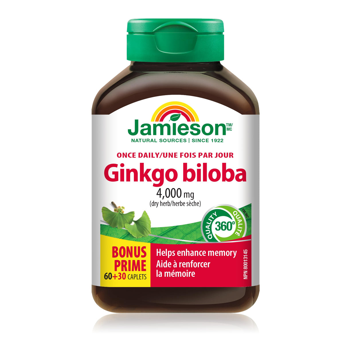 Ginkgo Biloba 4,000 mg - Gluten-Free, 90 Count (Pack of 1)