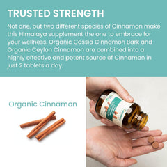 Himalaya Herbs - Cinnamon 60ct