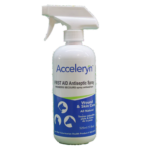 Acceleryn First Aid Antiseptic Wound & Skin Care Spray