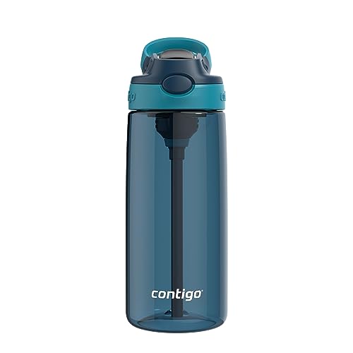 Contigo Aubrey Leak-Proof Spill-Proof Water Bottle, Blueberry & Juniper, 20 oz