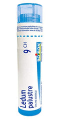 Ledum Palustre 9ch,Boiron Homeopathic Medicine