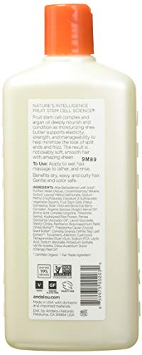 Andalou Naturals - Argan Oil and Shea Butter Moisture Rich Shampoo, Soft, Smooth Hair Shine for Women and Men, 340 mL