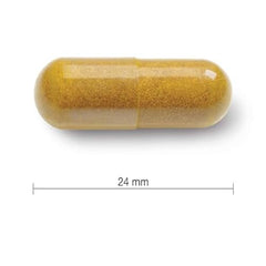 Jamieson Curcumin Turmeric 550 mg Regular Strength - Vegetarian, 60 Count (Pack of 1)