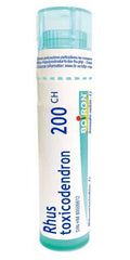 Rhus Toxicodendron 200CH, Boiron Homeopathic Medicine