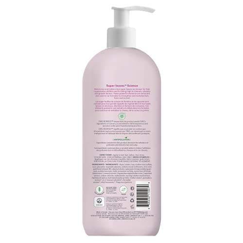 ATTITUDE Hair Shampoo, EWG Verified, Plant- and Mineral-Based Ingredients, Vegan and Cruelty-free Beauty and Personal Care Products, Moisture Rich, Quinoa and Jojoba, 946 ml