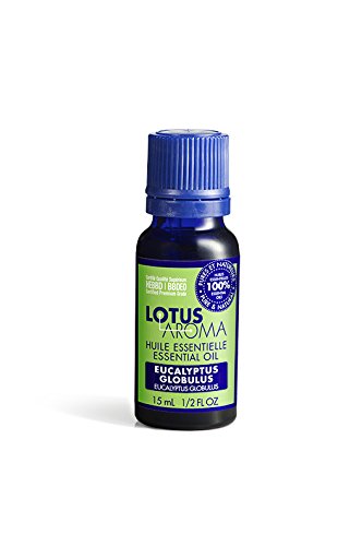 Lotus Aroma Eucalyptus Globulus Essential Oil, 0.5 Ounce