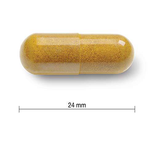 Turmeric Curcumin 550 mg Value Size - Zecoya