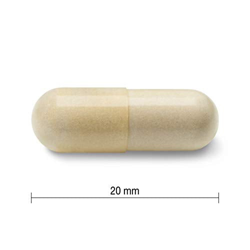 Jamieson Glucosamine Regular Strength 500 mg, 360 Capsules