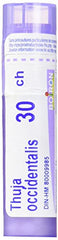 Thuja Occidentalis 30ch, 4g, Homeopathic Medicine, Multi Dose Tube by Boiron Canada