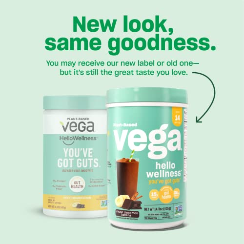 Vega Hello Wellness You've Got Guts Protein Powder, Choco Cinnamon Banana (14 Servings) Plant Based Vegan Protein Powder, 5g Prebiotic Fiber, 0g Added Sugar, 405g (Packaging May Vary)