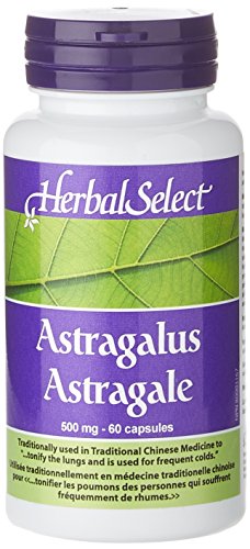 Herbal Select Astragalus 500mg, 60 Count