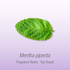 Herbal Select Peppermint Essential Oil, 30ml