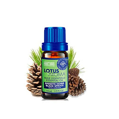 Lotus Aroma Black Spruce Essential Oil - MADE IN CANADA - BBDEO Premium Grade - Essential Oils for Diffusers Aromatherapy - 15 mL