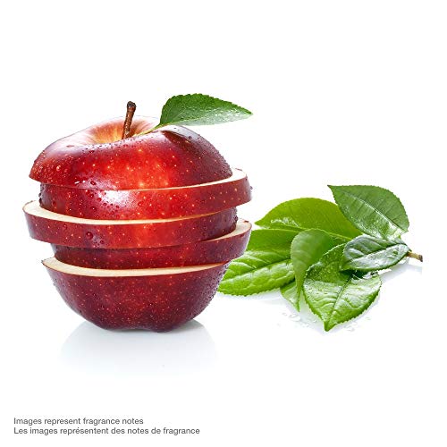 Dove Antiperspirant Deodorant Stick Apple and White Tea Scent 74g