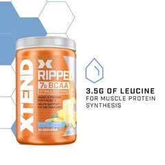 XTEND Ripped BCAA Powder Blueberry Lemonade | Cutting Formula + Sugar Free Post Workout Drink with Amino Acids | 7g BCAAs for Men & Women | 30 Servings - Packaging May Vary, 501 g (Pack of 1)