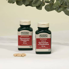 Glucosamine & Chondroitin