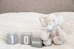 Kate & Milo Baby Milestone Markers, Baby Age Milestone Keepsakes and Photo Props