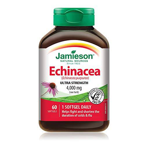 Echinacea High Potency 4,000 mg - Zecoya