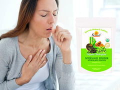 Sewanti Organic Sitopaladi Powder 100g/ NPN 80118254/ For Cough & Cold, Indigestion