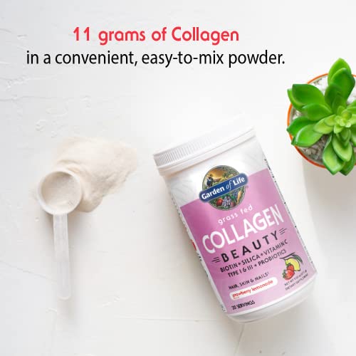 Hydrolyzed, Grass Fed Collagen Beauty for Skin, Hair & Nails | 12g Collagen Per Serving | Strawberry Lemonade Flavour | Contains Biotin, Silicon & Vitamin C | Paleo Certified, Non-GMO Verified, Gluten Free Certified, & Keto Certified