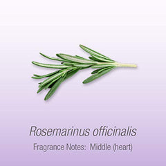 Herbal Select Rosemary Essential Oil, 30ml