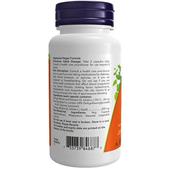 NOW Supplements Ginkgo Biloba Extract 60mg Vegetable Capsules, 120 Count