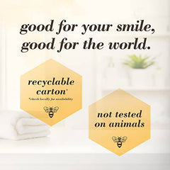 Burt’s Bees Toothpaste, Fluoride Free, Charcoal, Zen Peppermint - Zecoya