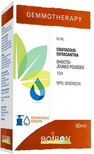 Gemmotherapy, crataegus oxyacantha shoots (hawthorn) 1dh 60ml, homeopathic medicine 60 milliliter by Boiron Canada